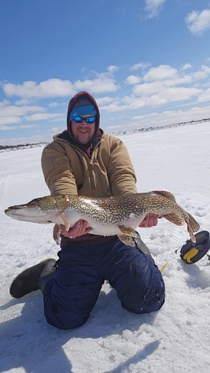 Northern Pike