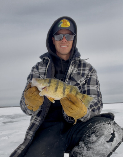 Yellow Perch