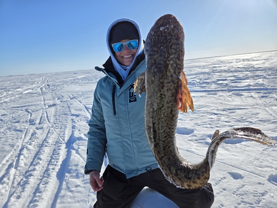Burbot