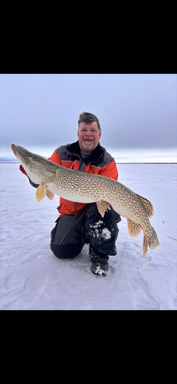 Northern Pike