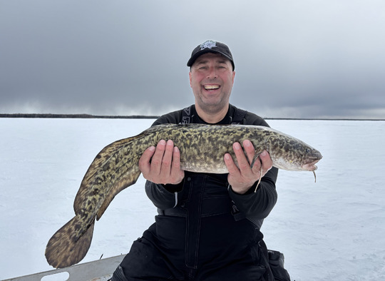 Burbot
