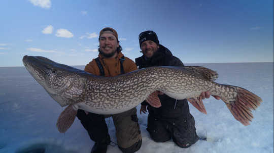 Northern Pike