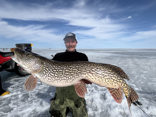 Northern Pike