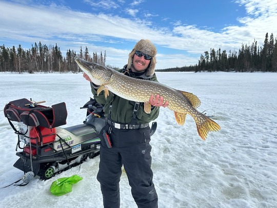 Northern Pike