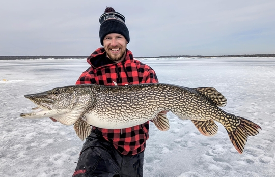 Northern Pike