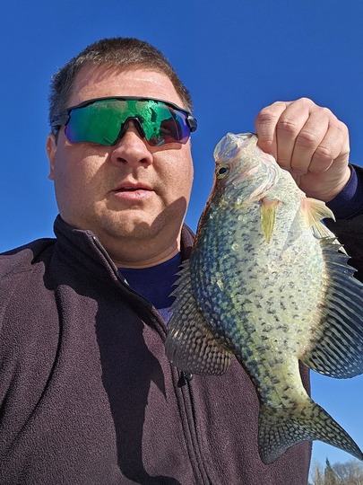 Black Crappie