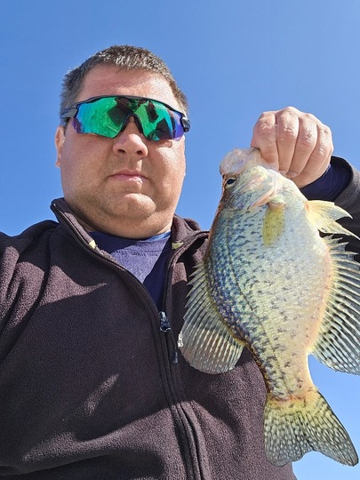 Black Crappie