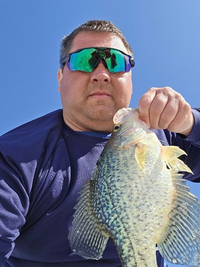 Black Crappie