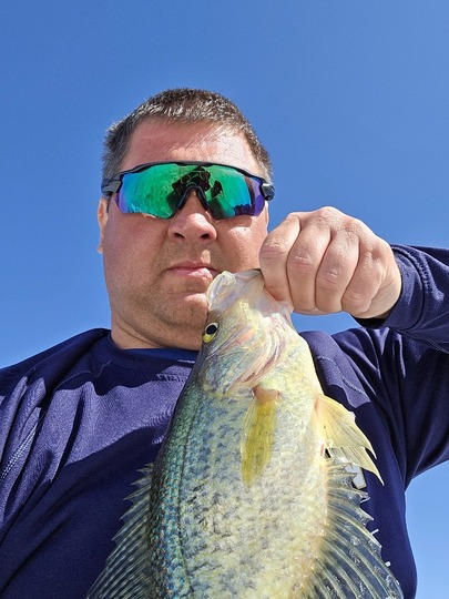 Black Crappie