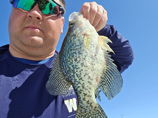 Black Crappie