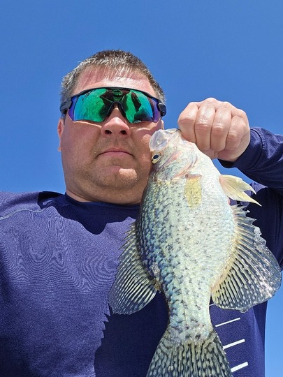 Black Crappie