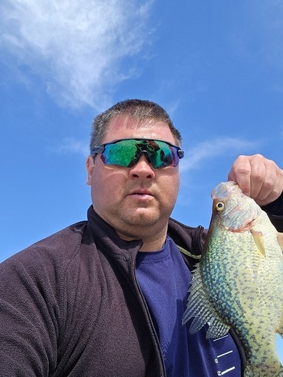 Black Crappie