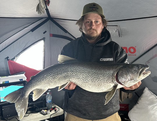 Lake Trout