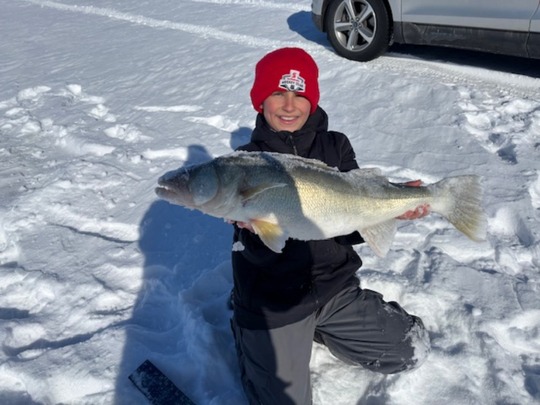 Walleye