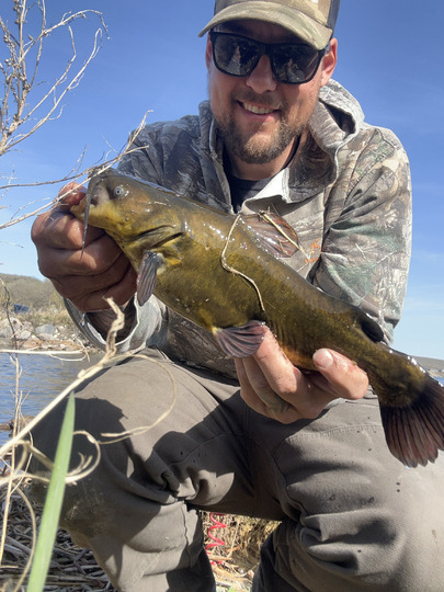 Bullhead