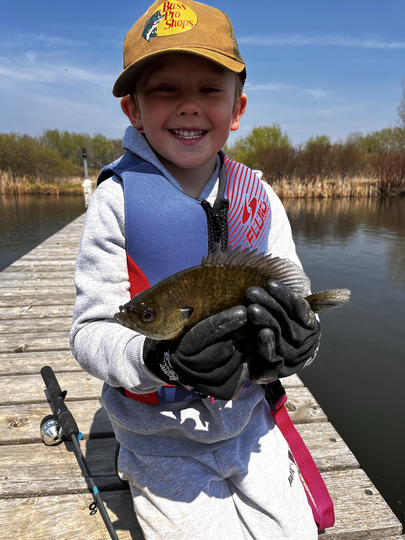 Sunfish