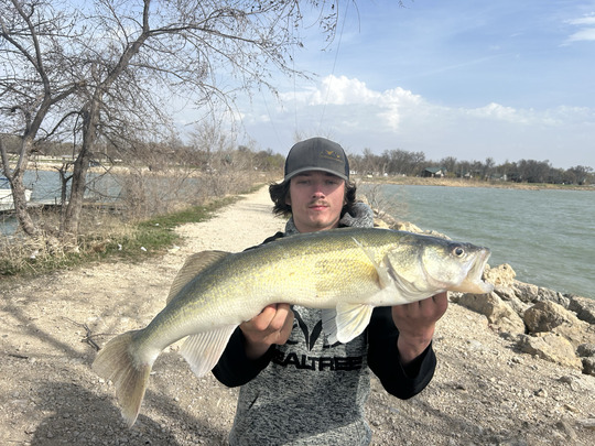 Walleye