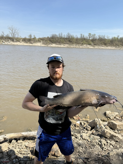 Channel Catfish