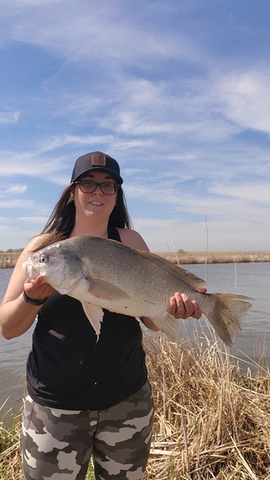 Freshwater Drum