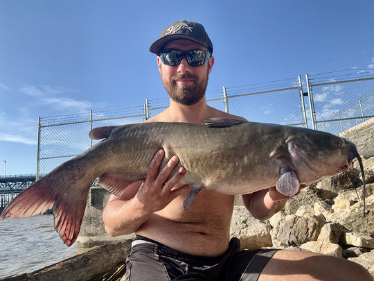 Channel Catfish