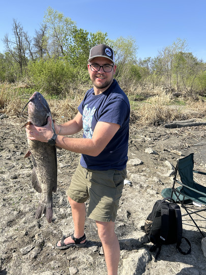 Channel Catfish