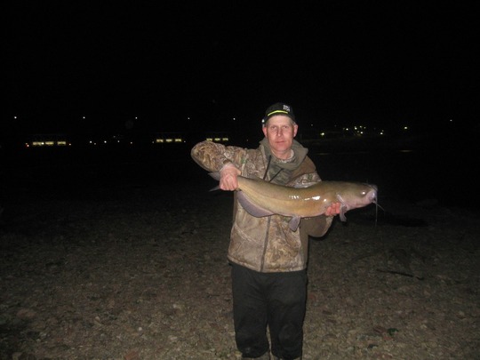 Channel Catfish