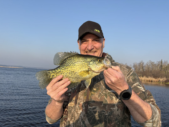 Black Crappie