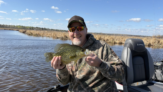 Black Crappie
