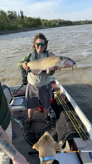 Channel Catfish