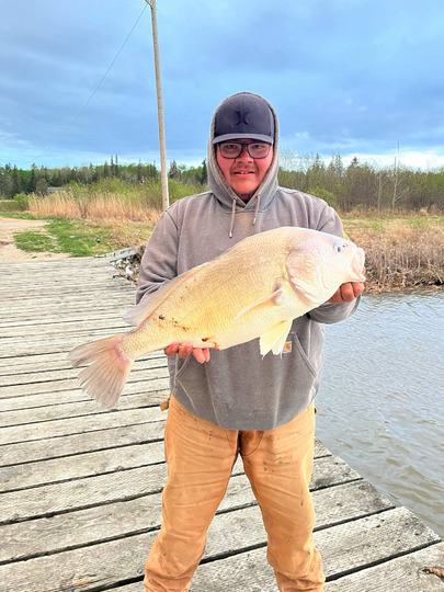 Freshwater Drum