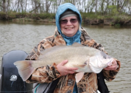 Freshwater Drum