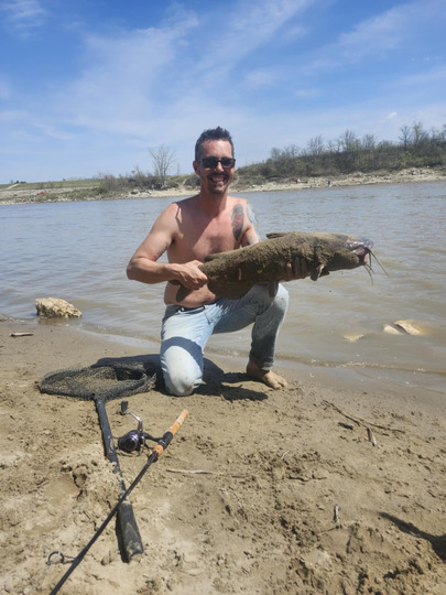 Channel Catfish
