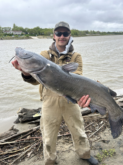 Channel Catfish