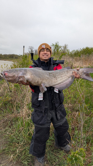 Channel Catfish