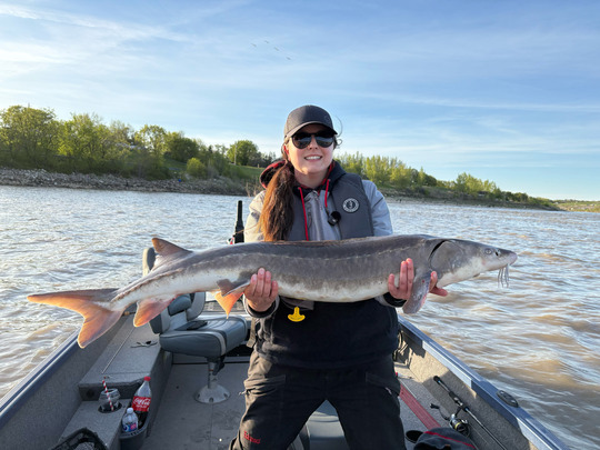 Lake Sturgeon