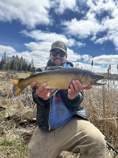 Tiger Trout