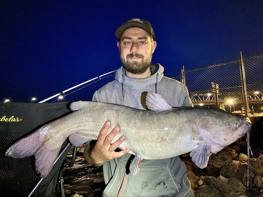Channel Catfish