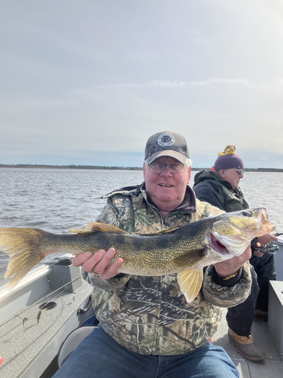 Walleye
