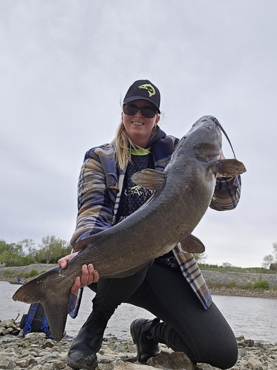 Channel Catfish