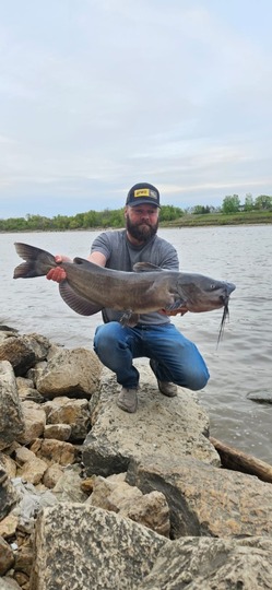 Channel Catfish