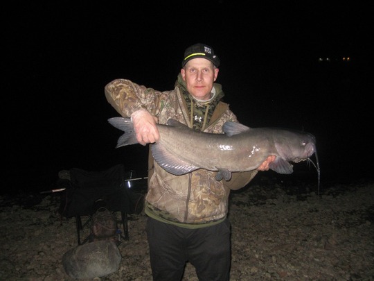 Channel Catfish