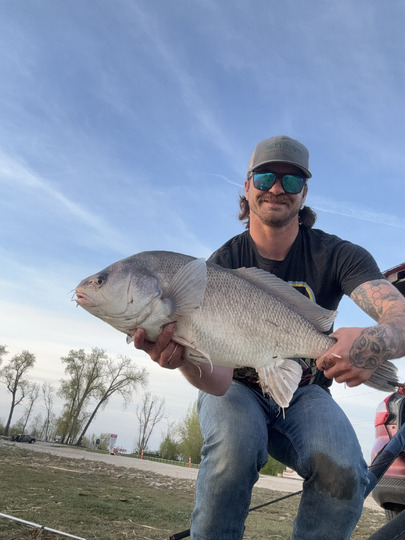 Freshwater Drum