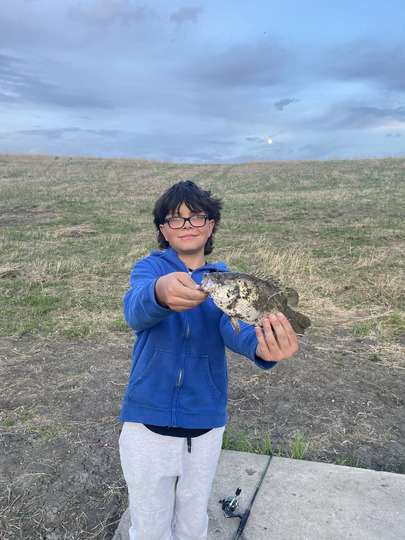 Rock Bass