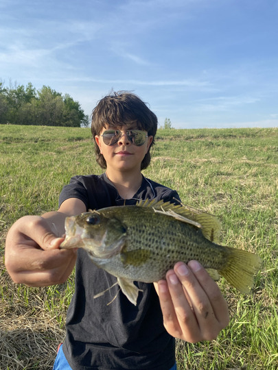 Rock Bass