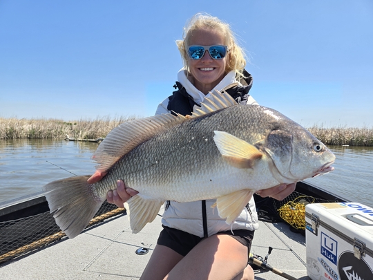 Freshwater Drum
