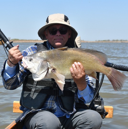 Freshwater Drum
