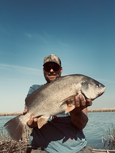 Freshwater Drum