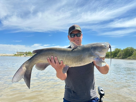 Channel Catfish
