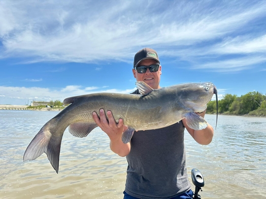 Channel Catfish