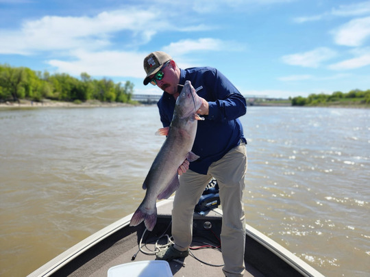 Channel Catfish